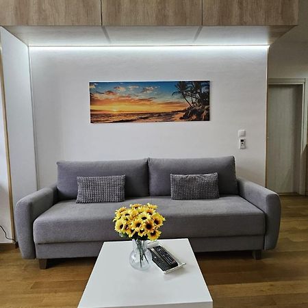 Appartement Porodicno-Poslovni Udoban Stan à Belgrade Extérieur photo